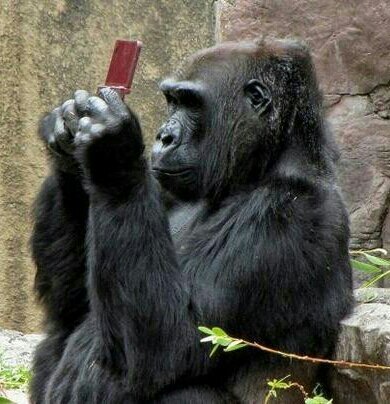 EDUARDORIESTRA's profile picture. 