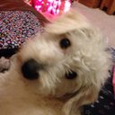 Beckie March-Jones - @BeckieMJ83 - Twitter