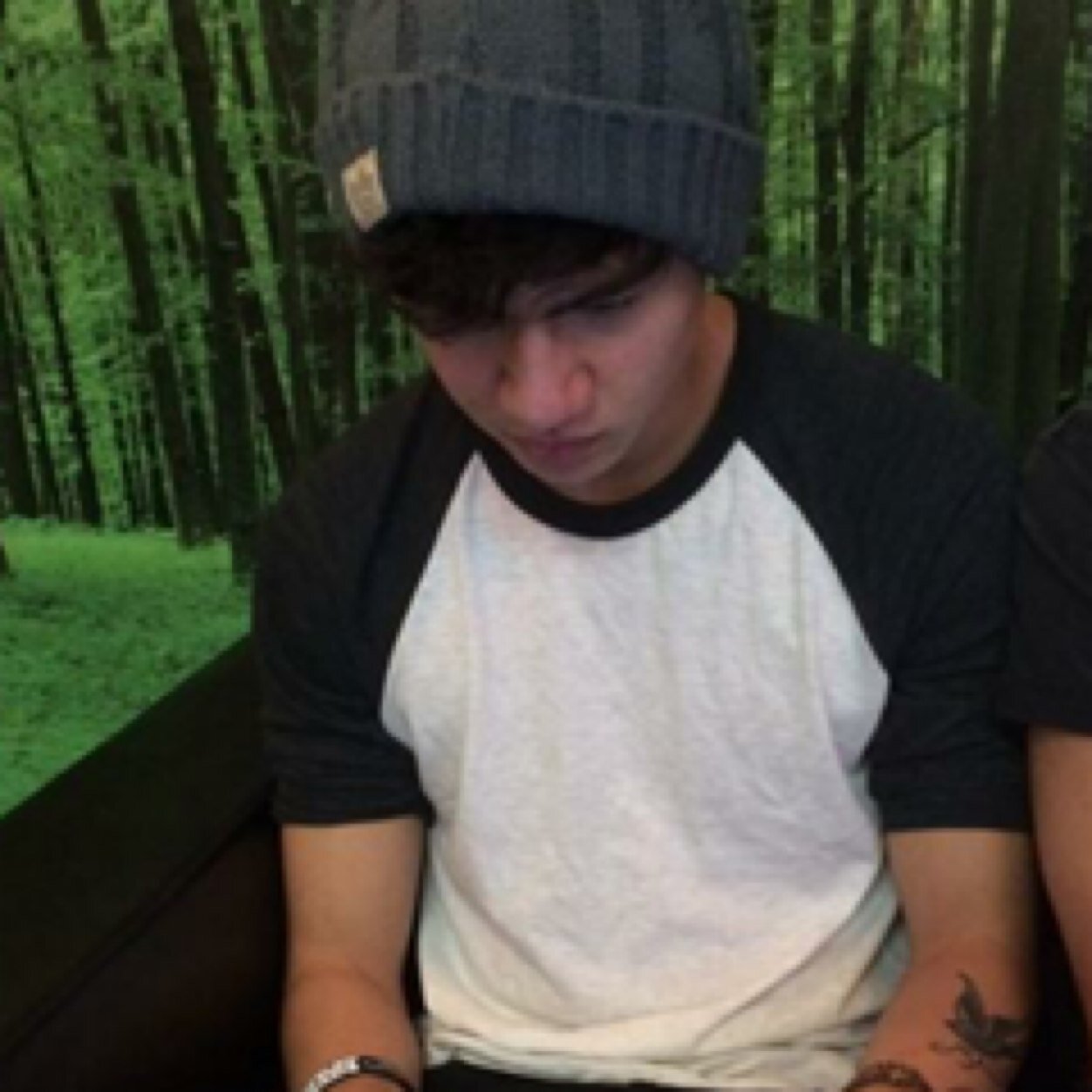 doodlebugniall's profile picture. @bigspooniall