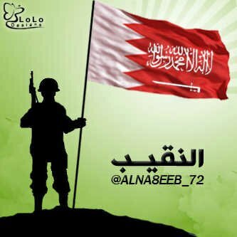 الشبكه الاهليه للدفاع عن القياده واهل السنه والجماعة