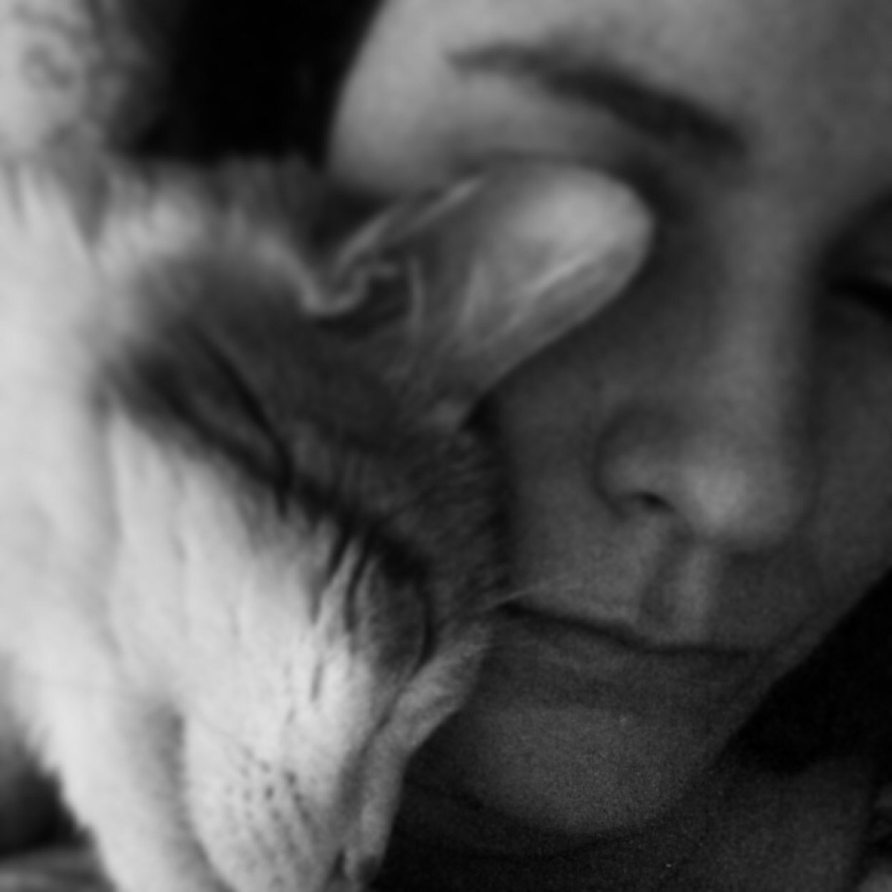 lzbeth's profile picture. mashed potatoes