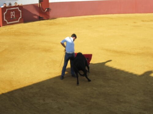 Diego de la Rosa. Soñador de sueños,loco por los toros, adicto a los rally . Enamorado de ella, Guiomar,