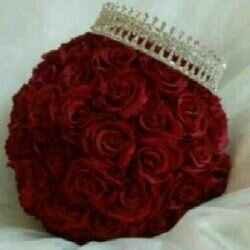 ar_aroj's profile picture. °°لاإله الا انت سبحانك اني كنت من الظالمين°°