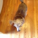 John Stromberg - @JohnAKASandy - Twitter