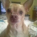 Cheryl Neely - @1be3a78eb018494 - Twitter