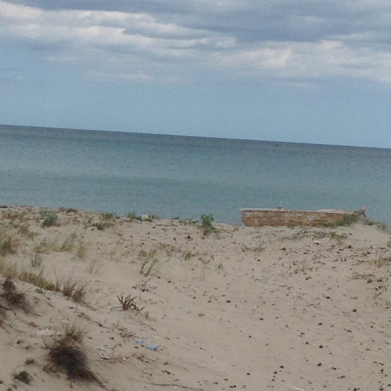 sousou0095's profile picture. 