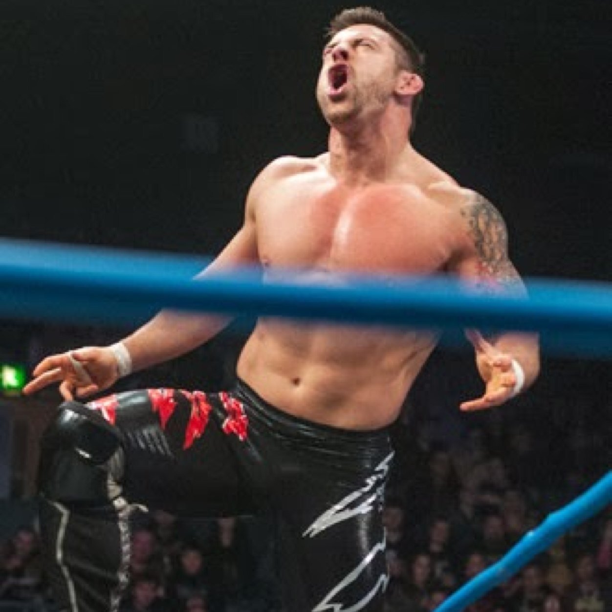 FatalHowl's profile picture. There is a story about a man that doesn't fear anything. His howl is as deadly as his bite. That one man is 1/2 of the TNA Tag champs. Davey. Richards.