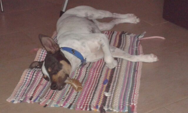 ZenHera's profile picture. YO