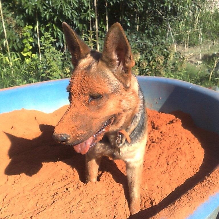 remes2012's profile picture. Eduardo padre de La Ensenada Tenis