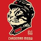 steinernein's profile picture. 