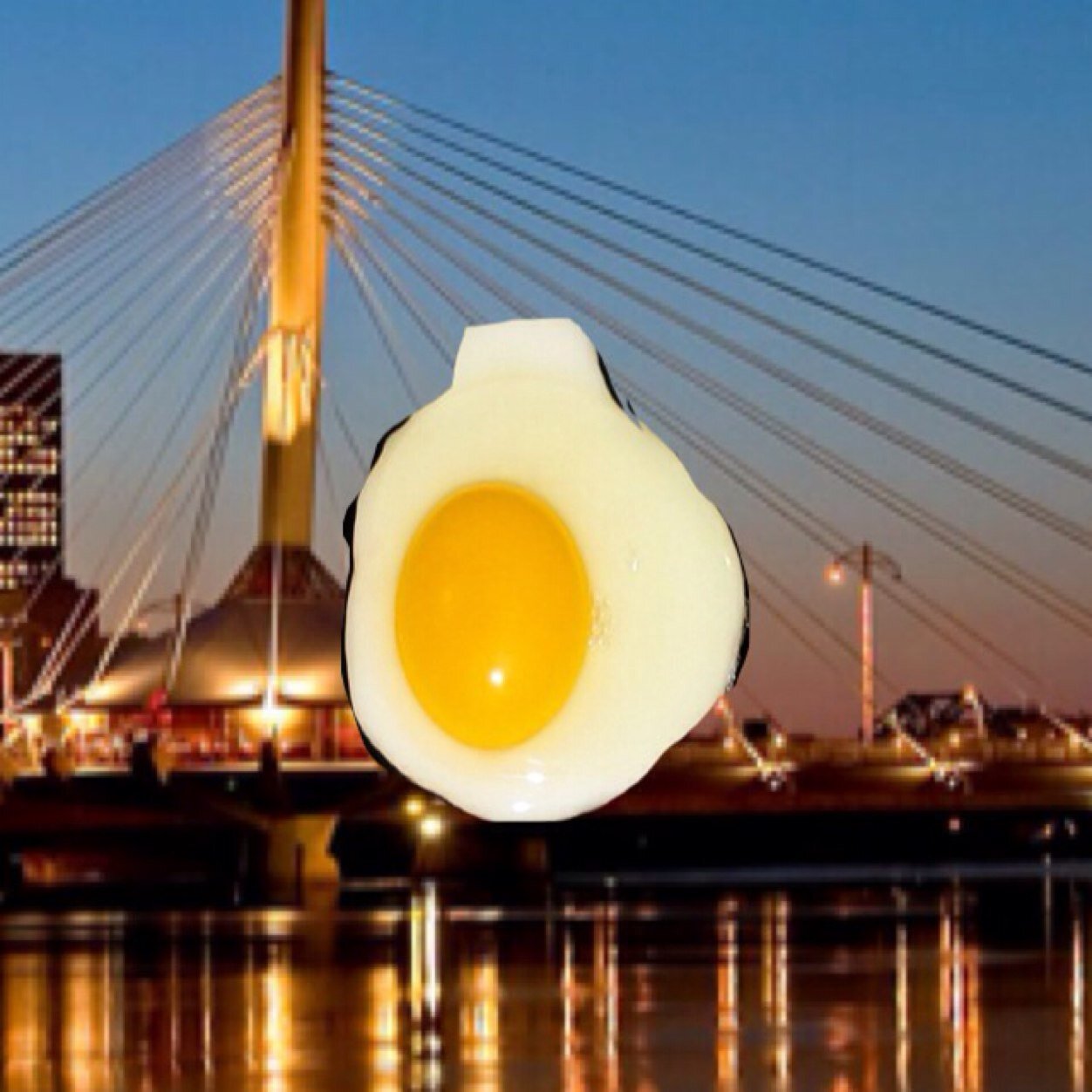 wpgEGGS's profile picture. eggs (legal) (OfficialEgg™)