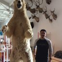 greg rocha - @grocha11 - Twitter