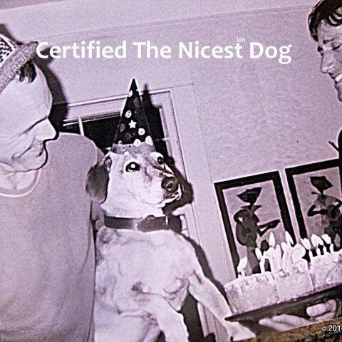 TheNicest_TM's profile picture. I died from smoking too much pot. Now I am in heaven and have incarnated as a dog.
No worries now. I am your guardian angel forever.