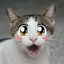 Christopher Kerber - @Merlony_03 - Twitter