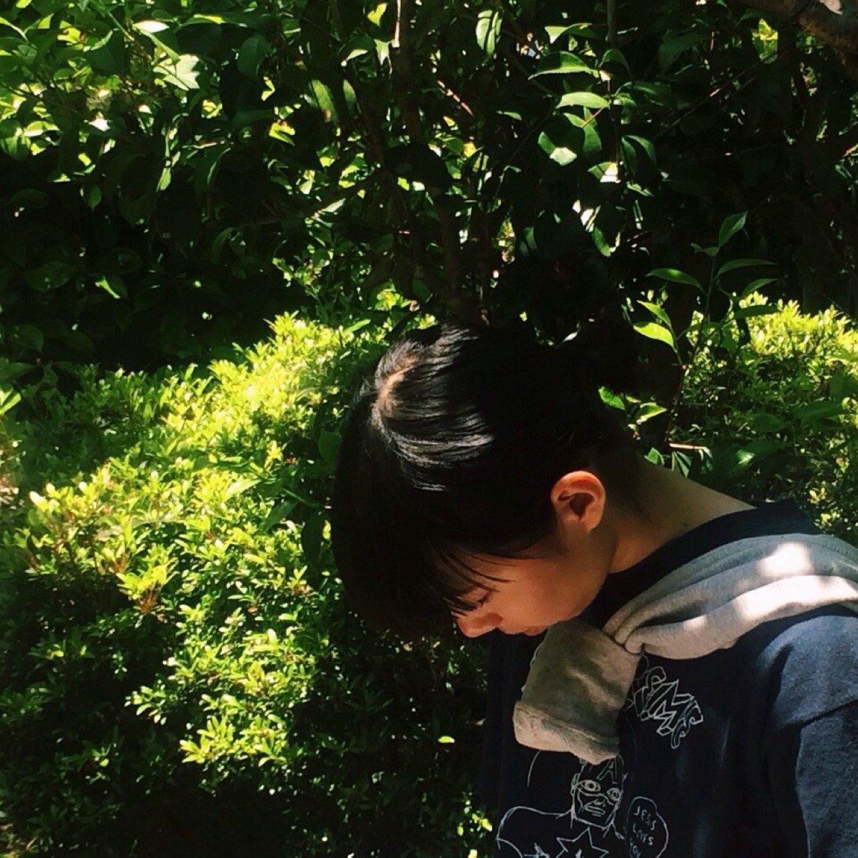 ポケみさんのプロフィール画像