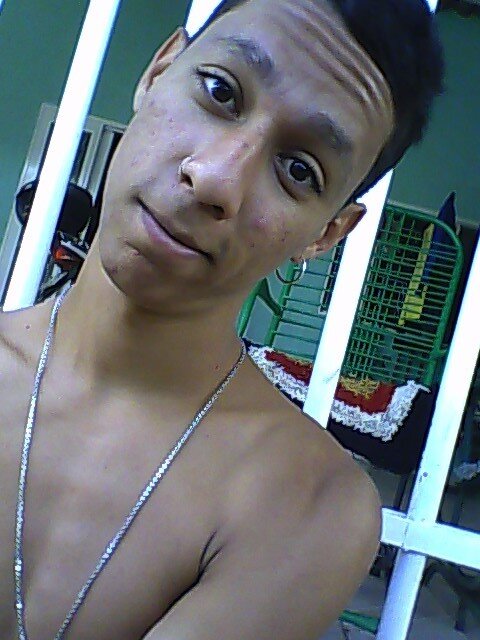 FilipeBenner's profile picture. 