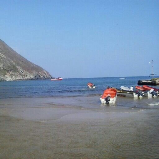 MIREALEJ's profile picture. 