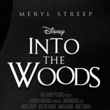 Uma super produção da Disney, com uma atriz monstruosamente perfeita, Meryl Streep, juntos formam um filme que promete aos amantes de cinema!