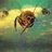 WDWDBand's profile image