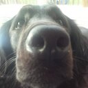 Sara Fenwick - @SaraLFenwick - Twitter