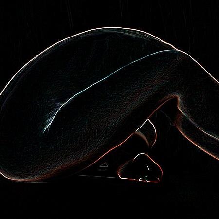 The Naked Expedition Project focuses on theatre works written by & for Women and the underrepresented. A space for the new & emerging playwright.