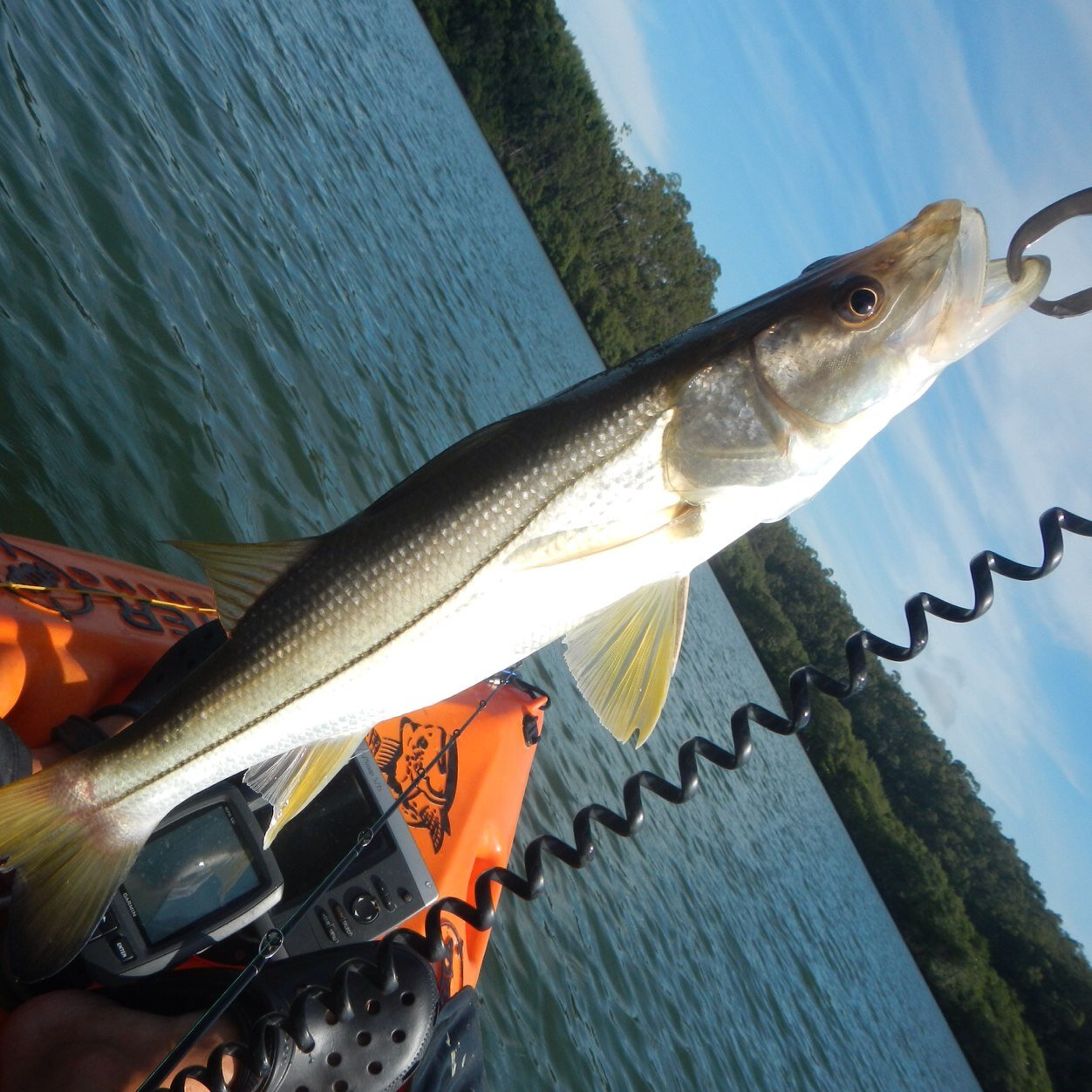 Grupo de Pesca de Kayak
No Estado do ES