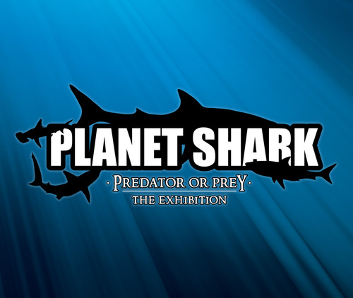 Planet_Shark's profile picture. Planet Shark takes you on a journey of discovery & provides a better understanding of an animal which has ruled the ocean for over 450 million years.