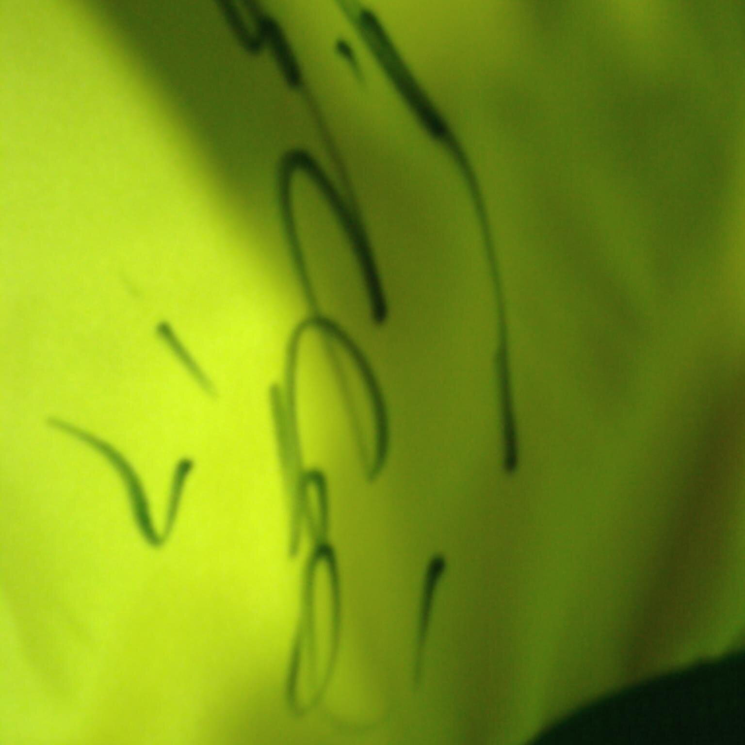 Radadrum's profile picture. 