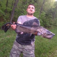 clammy (@samuel_michuk) 's Twitter Profile