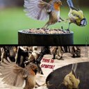 jorge samayoa - @ChochsamaJorge - Twitter