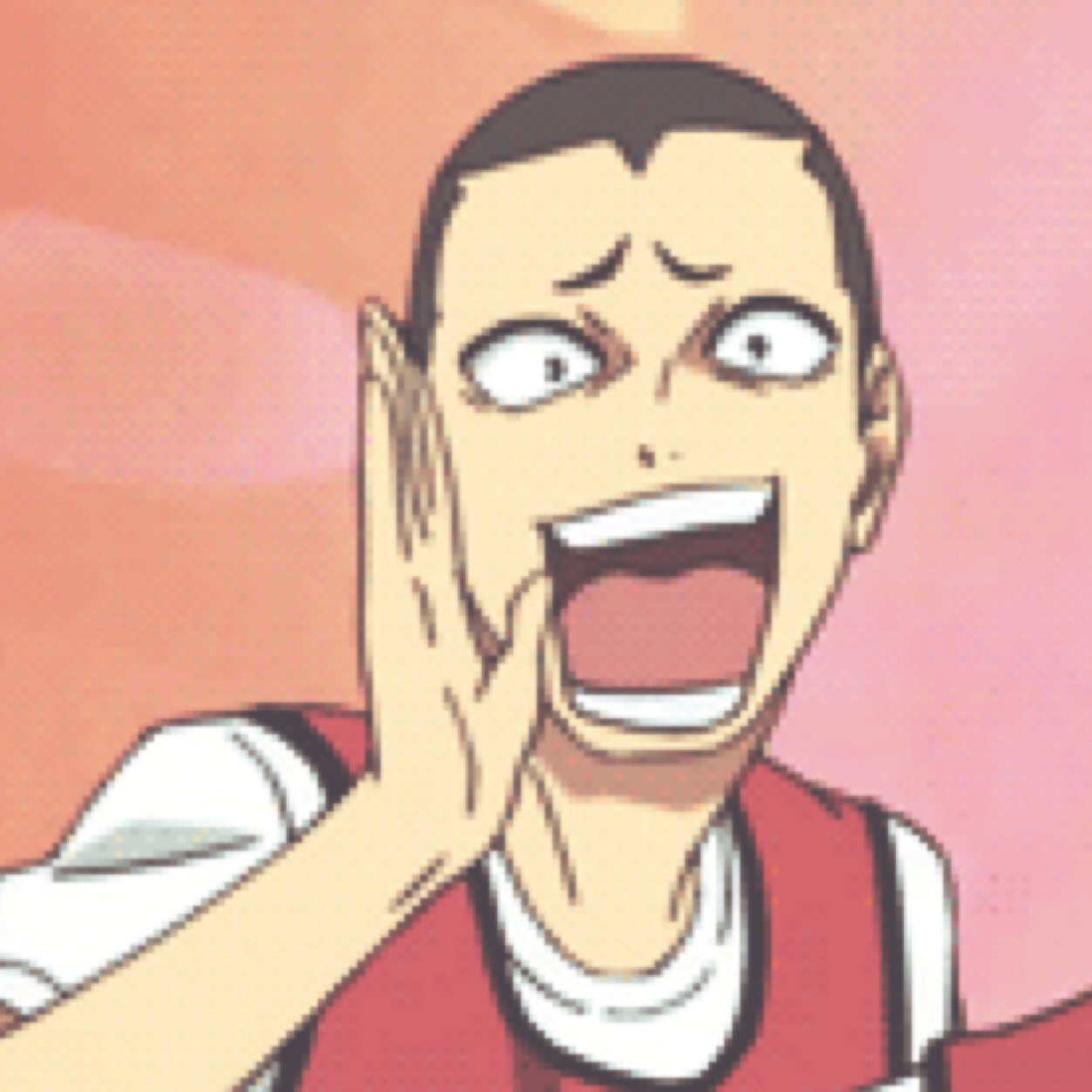 Wing spiker || Karasuno high || second year || Sugawara is bae