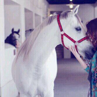 ‏‏‏‏‏‏‏‏‏أنا ضد مقولة : ما يقوى الغياب إلا اللي عنده بديل 
لأنه ممكن أقوى الغياب ؟ لخاطر كرامتي لنفسي و كبريائي مو ضروري عشان بديل