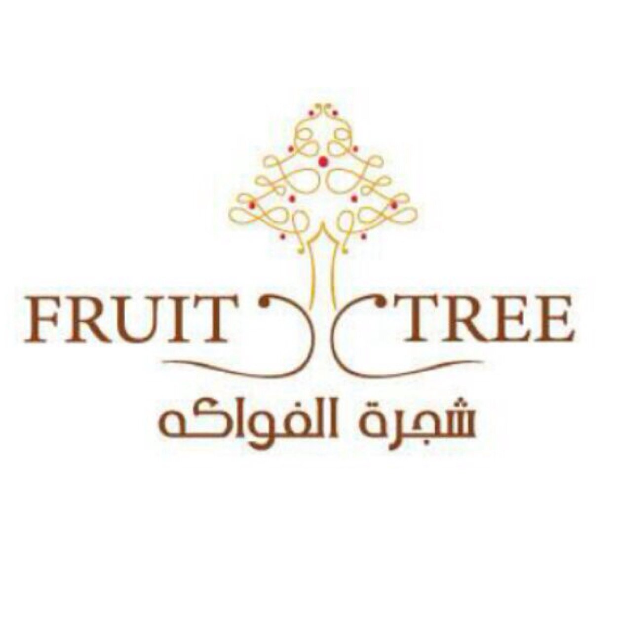اختر الاسلوب الراقي في خدمة تمويل العصيرات الطازجة وسلطات الفواكه الشهية من شجرة الفواكه احدى فروع عصيرات مانجو