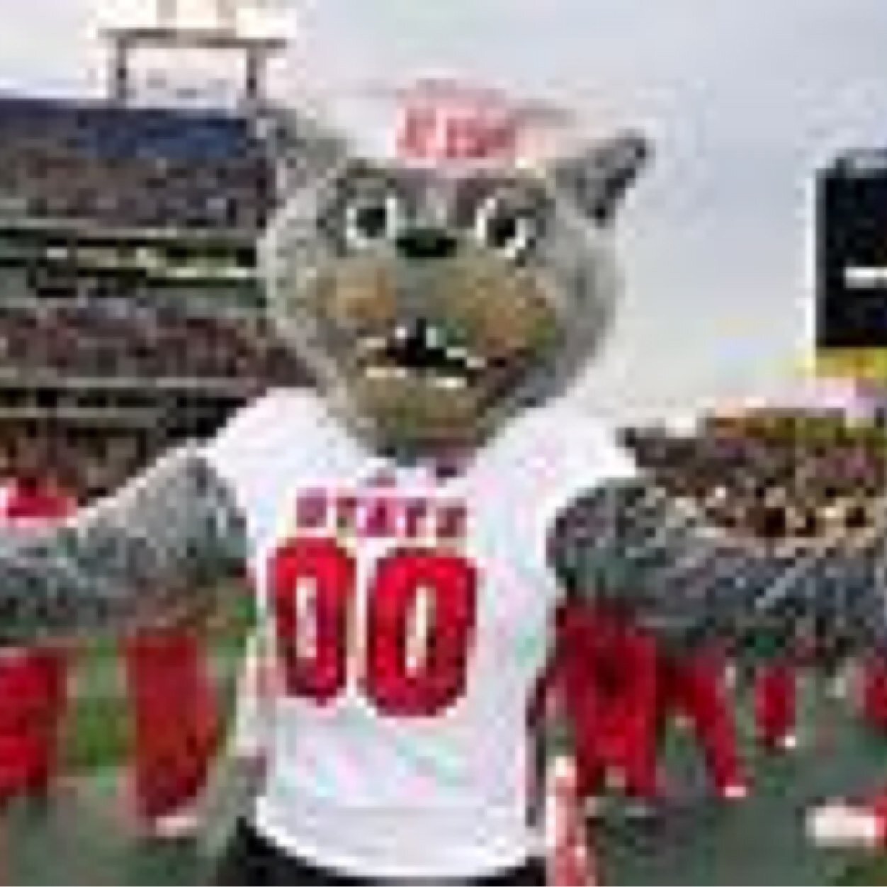 brockpack2424's profile picture. 