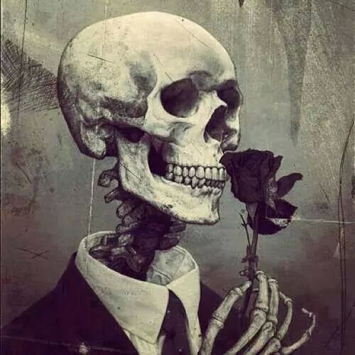 ¡Be my Augustus Waters!