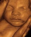 I’m a soon-to-be-newborn taking the advice in the book “What to Expect When You’re Expected” and tweeting from the womb!