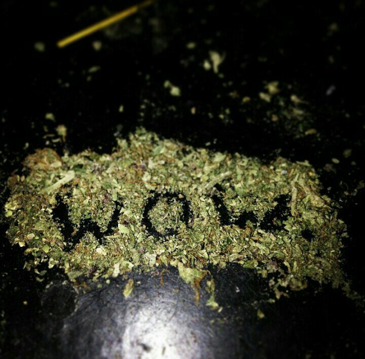 #tstf. let's blaze