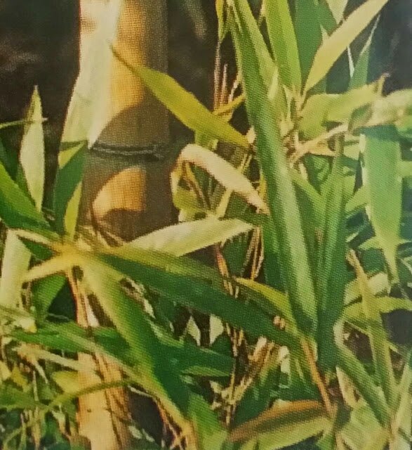 a10476944812's profile picture. 언제보니 구글사용자넣어잘만들었더국요겔러리에사진만아요누가해주시면사려하겠습니다