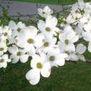 Mallory Ball - @mallory_43209 - Twitter