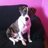 Furever_Family's profile image