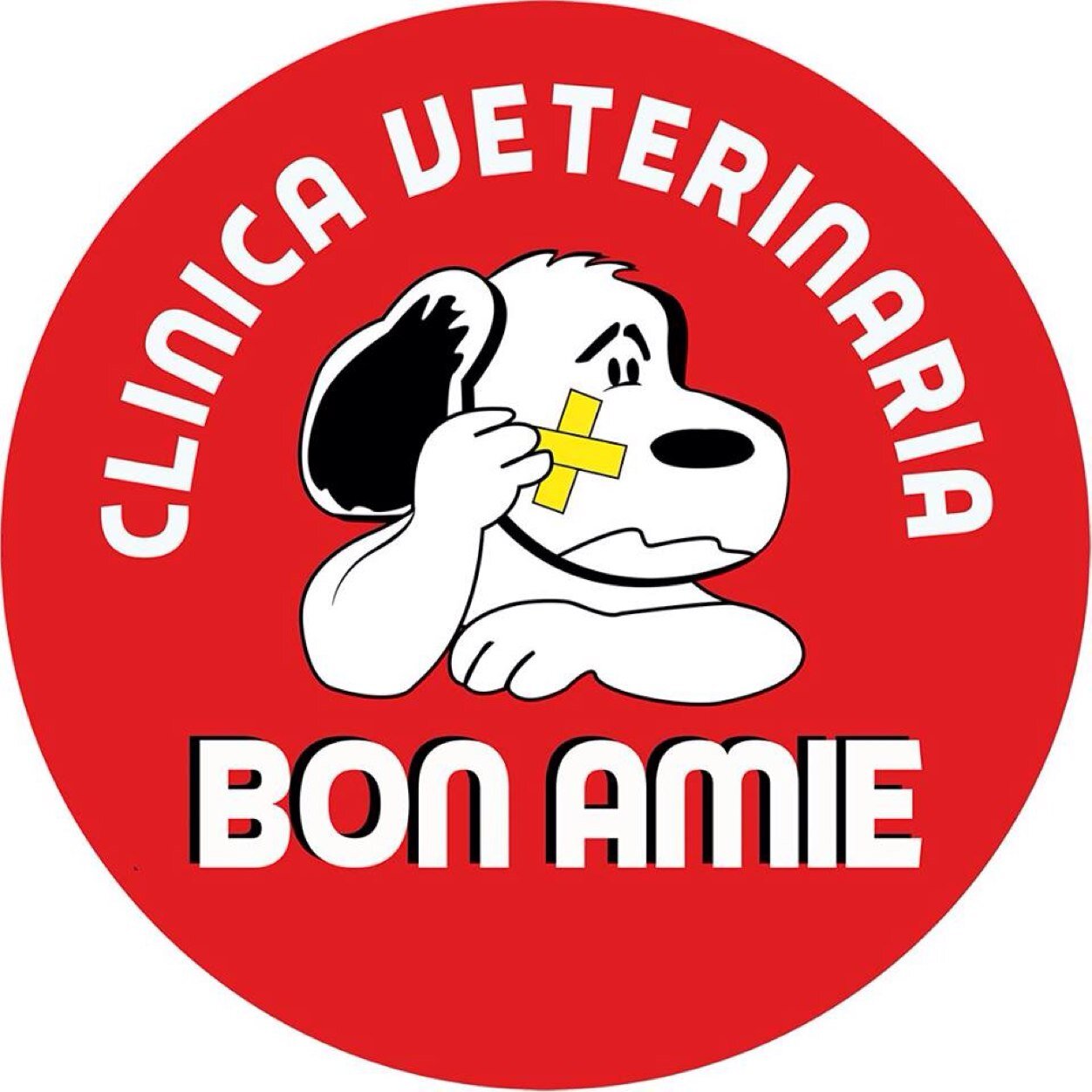 Mascotas un regalo de amor y amistad incondicional....