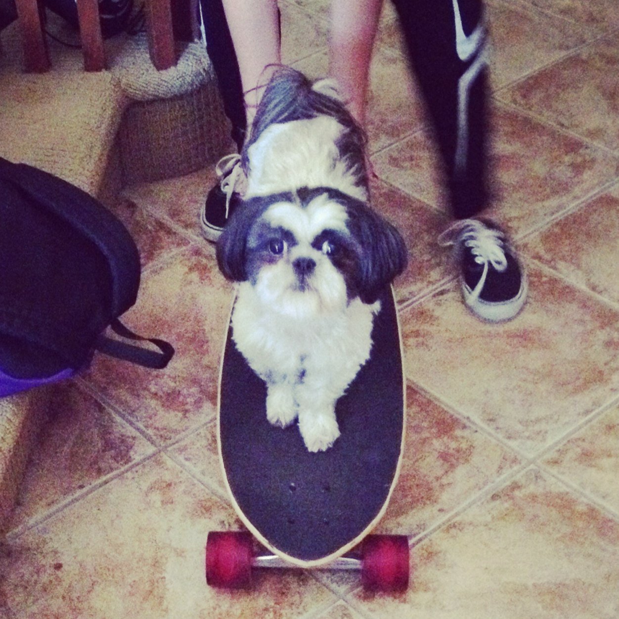 timmjenny26's profile picture. 