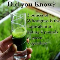 #wheatgrass.org.in (@wheatgrassstore) 's Twitter Profile
