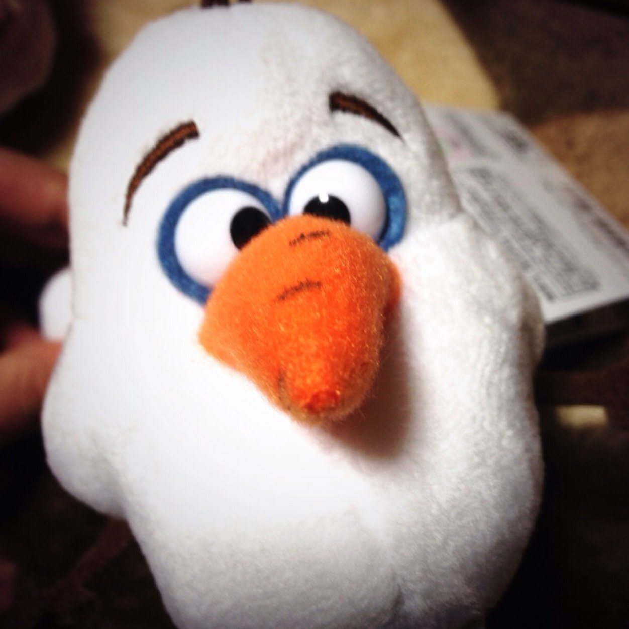 tecci_tgw's profile picture. 