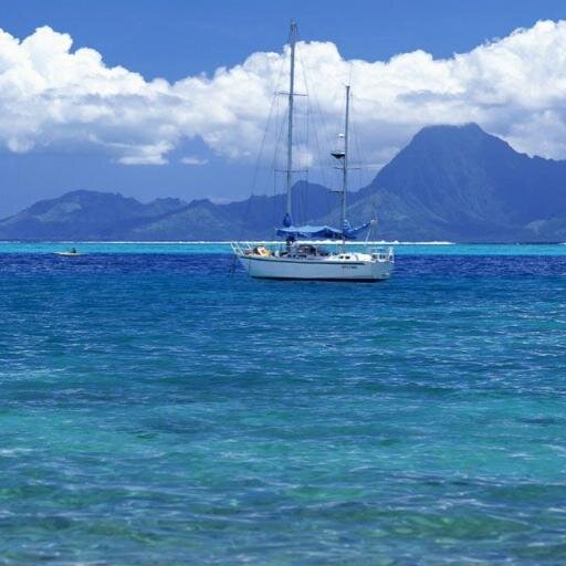 Volkykls's profile picture. 