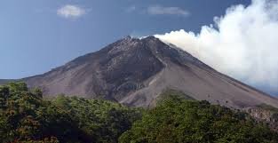 erupsimerapi's profile picture. 
