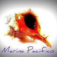 Marina Pacifico & Blue Service                    Puerto Montt - Chile    +56955207030