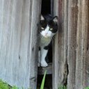 Adrienne Buck Photog - @freezephotos - Twitter