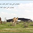 ابن الوطن (@0569873683) Twitter