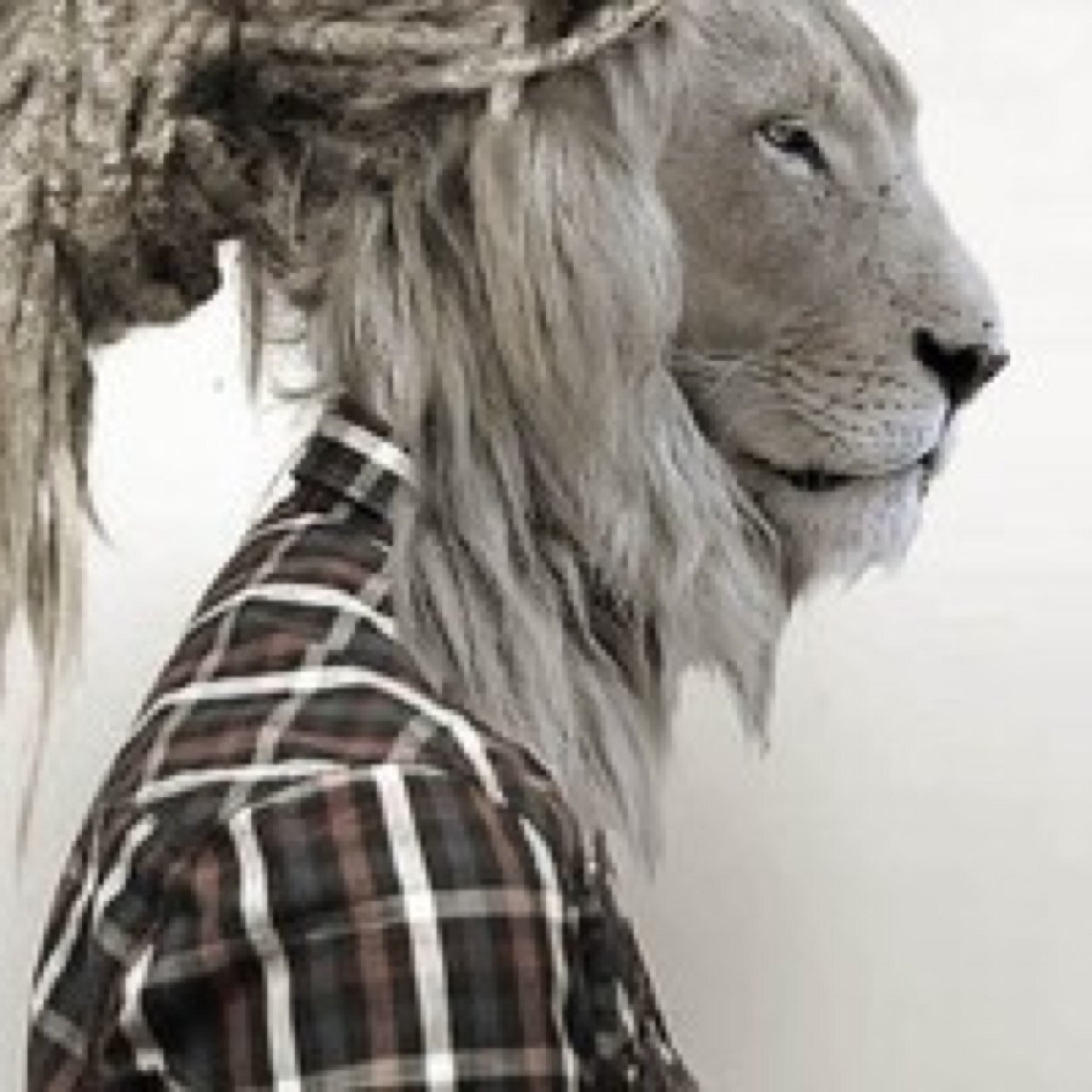 neilchirps Profile Picture
